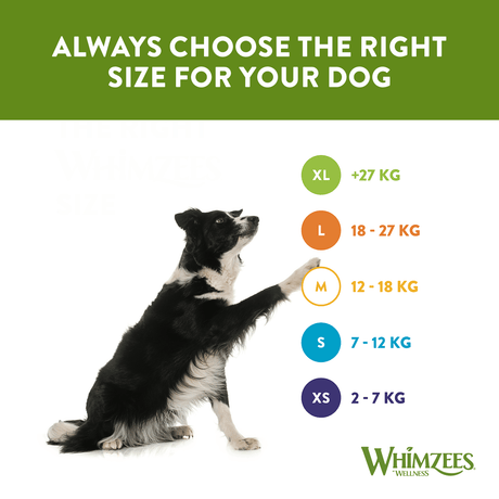 Whimzees Toothbrush Small Dog Dental Treat - 6 x 24 Bags, Whimzees,