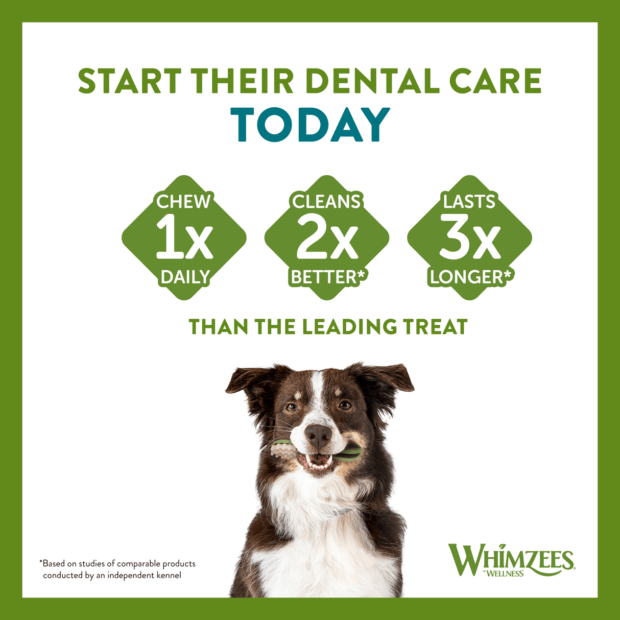 Whimzees Toothbrush XS - 6 x 48 Treat Bag, Whimzees,