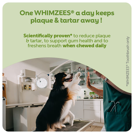 Whimzees Alligator Medium Box - 65x Dog Treats