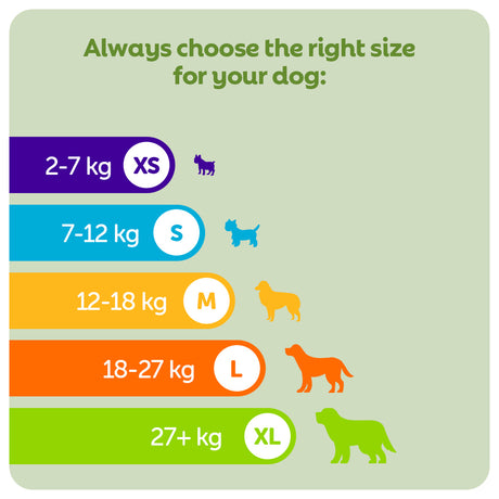 Whimzees Alligator Medium Box - 65x Dog Treats