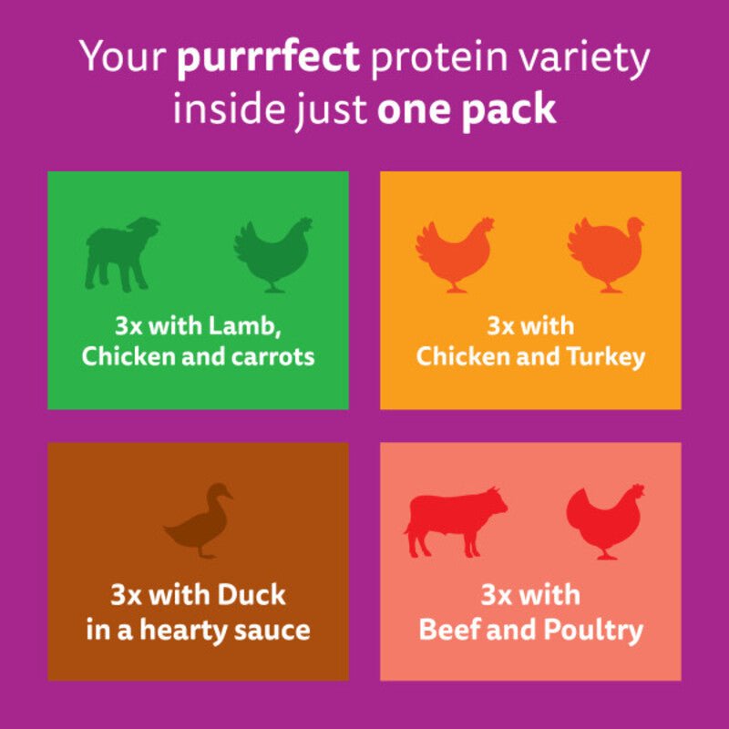 Whiskas 1+ Country Collection Adult Wet Cat Food Pouch in Gravy - 48 x 85g, Whiskas,