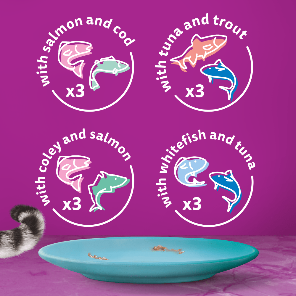 Whiskas 1+ Duo Ocean Delights Adult Wet Cat food Pouches in Jelly - 48 x 85g, Whiskas,