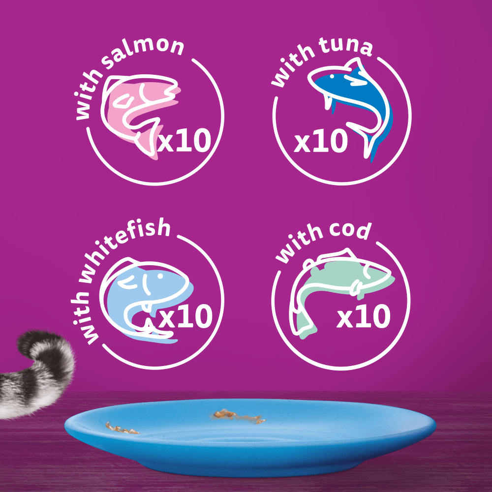 Whiskas 1+ Fish Favourites in Jelly Adult Wet Cat Food Pouches, Whiskas, 40 x 85g