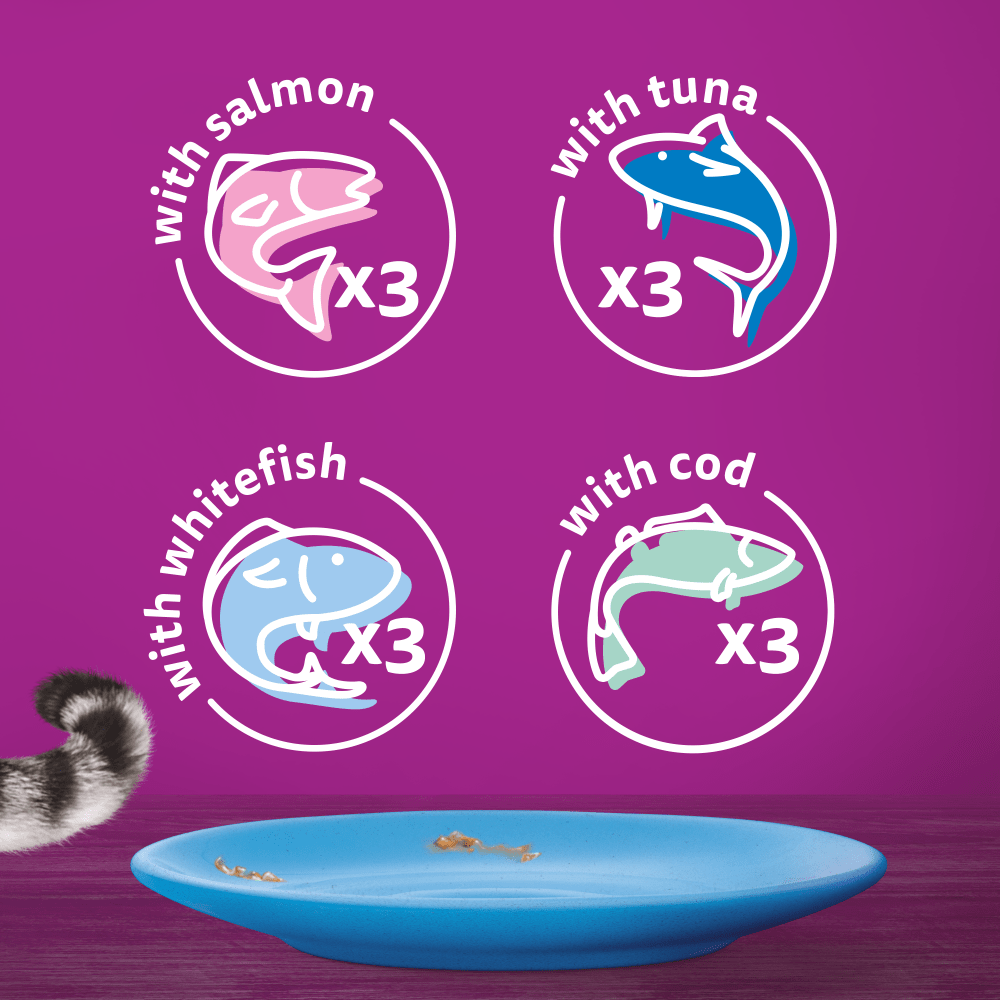 Whiskas 1+ Fish Favourites in Jelly Adult Wet Cat Food Pouches, Whiskas, 48 x 85g