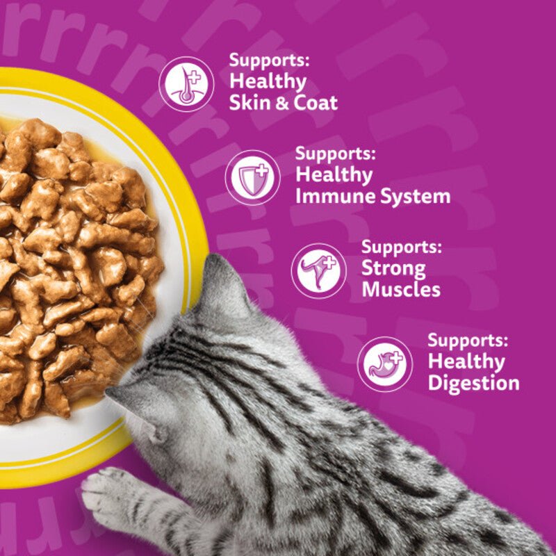 Whiskas 1+ Poultry Feasts Adult Wet Cat Food Pouches in Gravy - 48 x 85g, Whiskas,