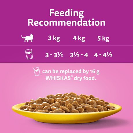 Whiskas 1+ Poultry Feasts Adult Wet Cat Food Pouches in Gravy - 48 x 85g, Whiskas,