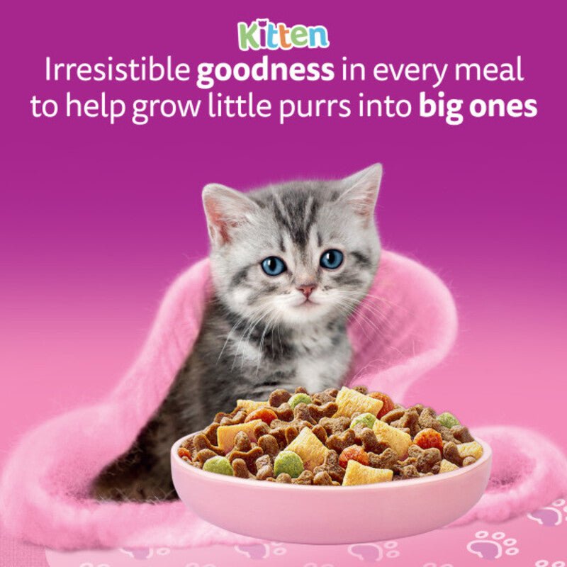 Whiskas Cat Dry with Chicken 2 - 12 Months Kitten Food, Whiskas, 7 kg