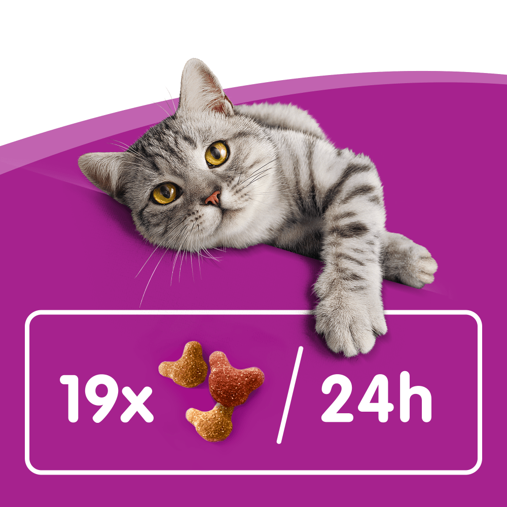 Whiskas Crunch Tasty Topping Adult Cat Treat Biscuits - 10 x 100g, Whiskas,