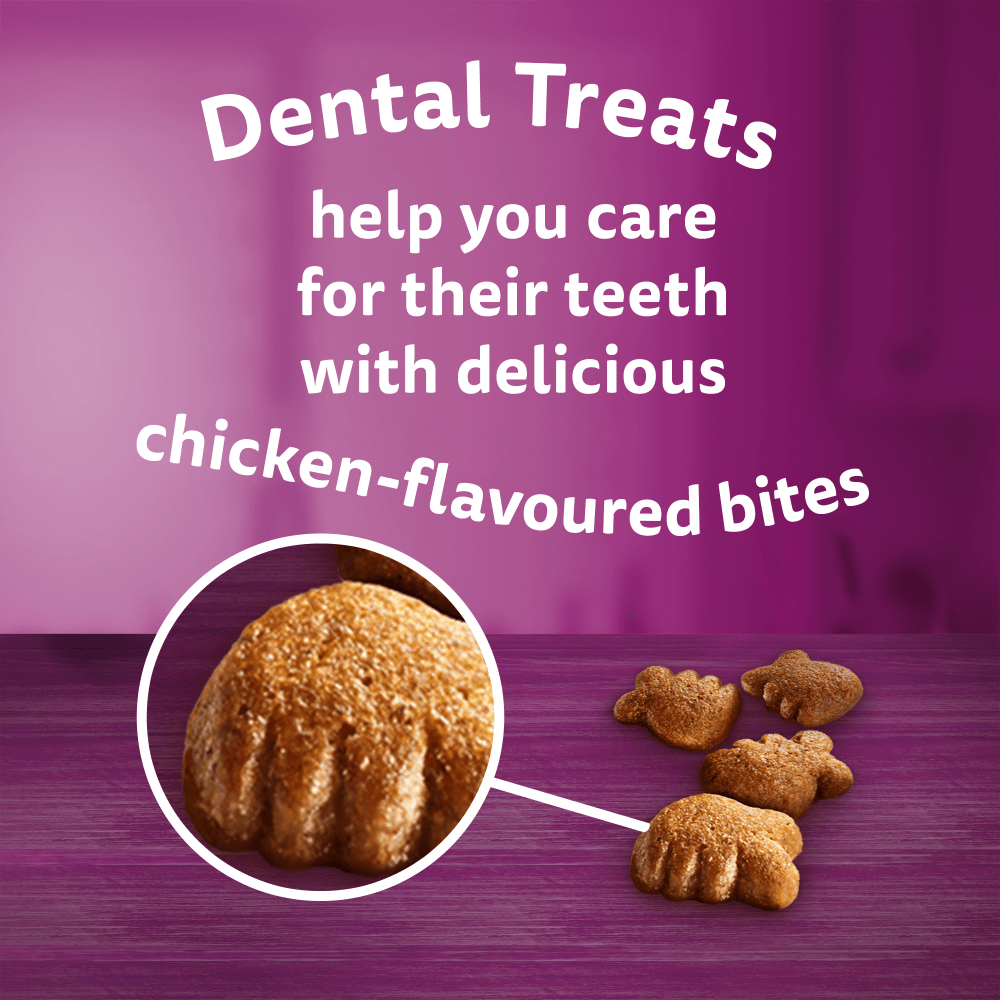 Whiskas Dentabites Adult Cat Treats with Chicken - 6 x 40g, Whiskas,