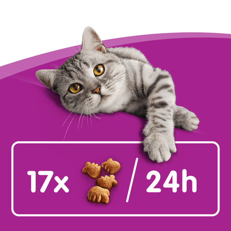 Whiskas Dentabites Adult Cat Treats with Chicken - 8 x 50g, Whiskas,