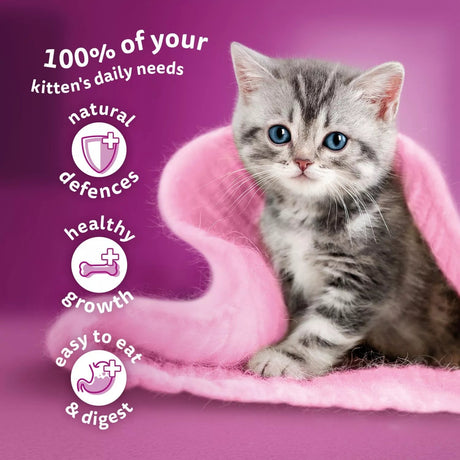 Whiskas Kitten 2 - 12 month Mixed Menu in Jelly 4x (12x85g), Whiskas,