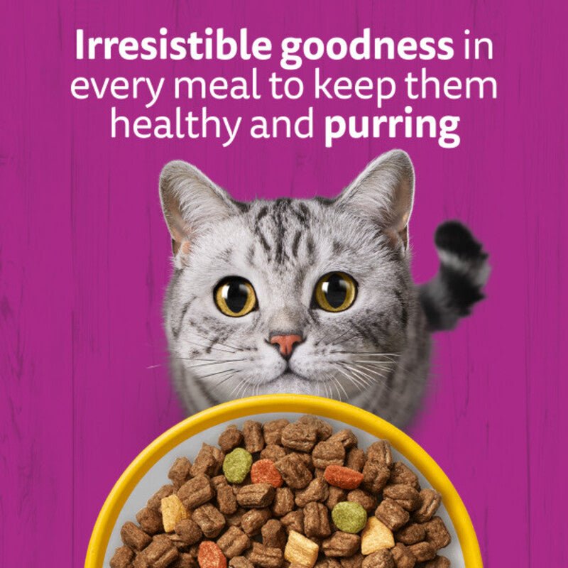 Whiskas Senior 7+ Dry with Chicken Cat Food, Whiskas, 1.9 kg