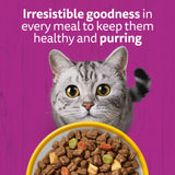 Whiskas Senior 7+ Dry with Chicken Cat Food, Whiskas, 1.9 kg