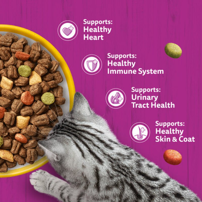 Whiskas Senior 7+ Dry with Chicken Cat Food, Whiskas, 1.9 kg