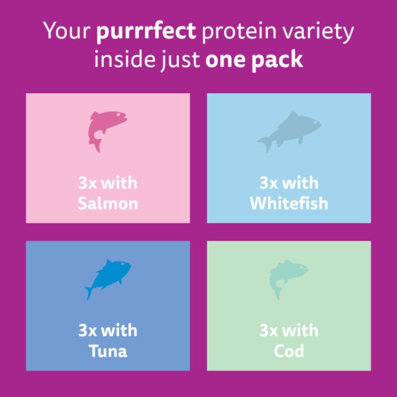 Whiskas Senior 7+ Fish Favourites in Jelly Wet Cat Food Pouches - 48 x 85g, Whiskas,