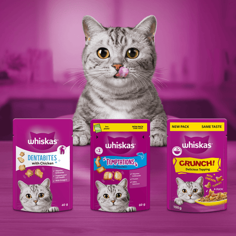 Whiskas Temptations with Chicken & Cheese Adult Cat Treats - 6 x 60g, Whiskas,
