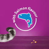 Whiskas Temptations with Salmon Adult Cat Treats - 6 x 60g, Whiskas,