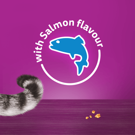Whiskas Temptations with Salmon Adult Cat Treats - 6 x 60g, Whiskas,