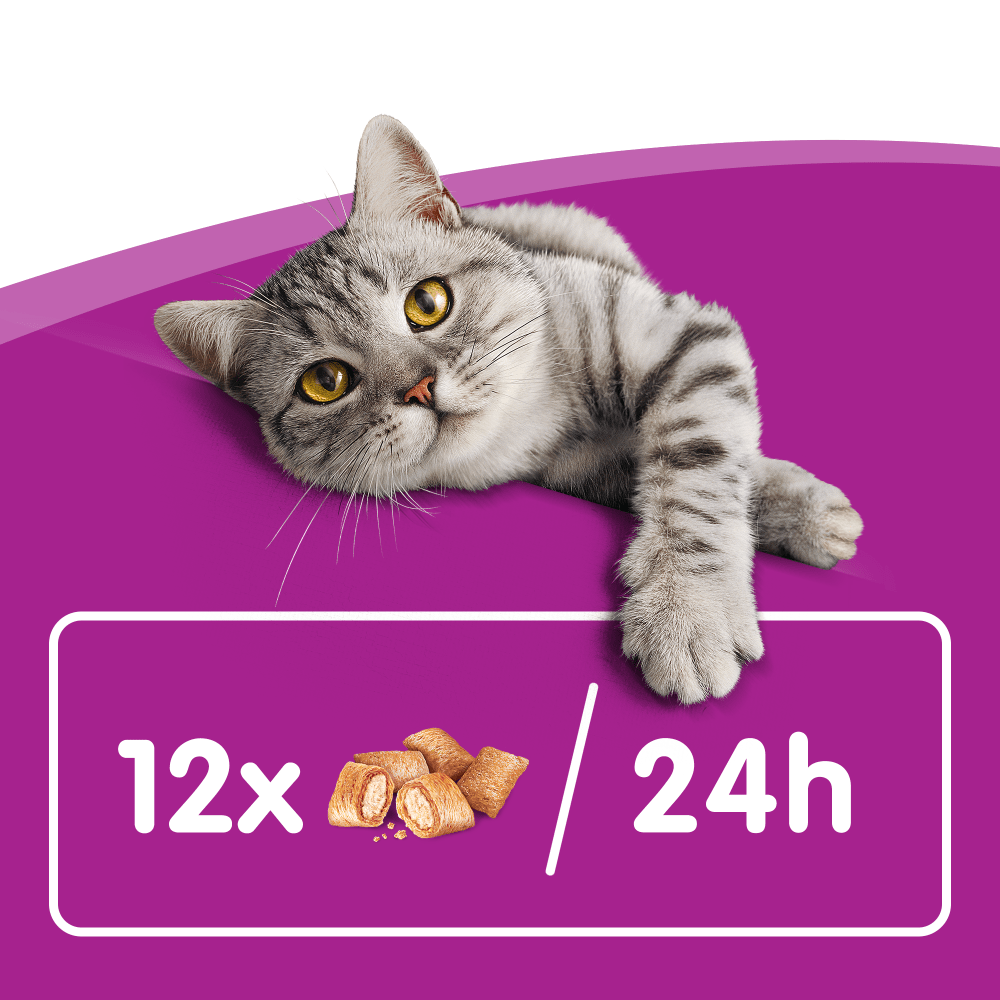 Whiskas Temptations with Salmon Adult Cat Treats - 8 x 60g, Whiskas,