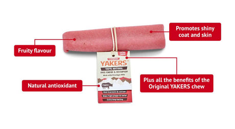 YAKERS Strawberry Dog Chew, Yakers, XLarge