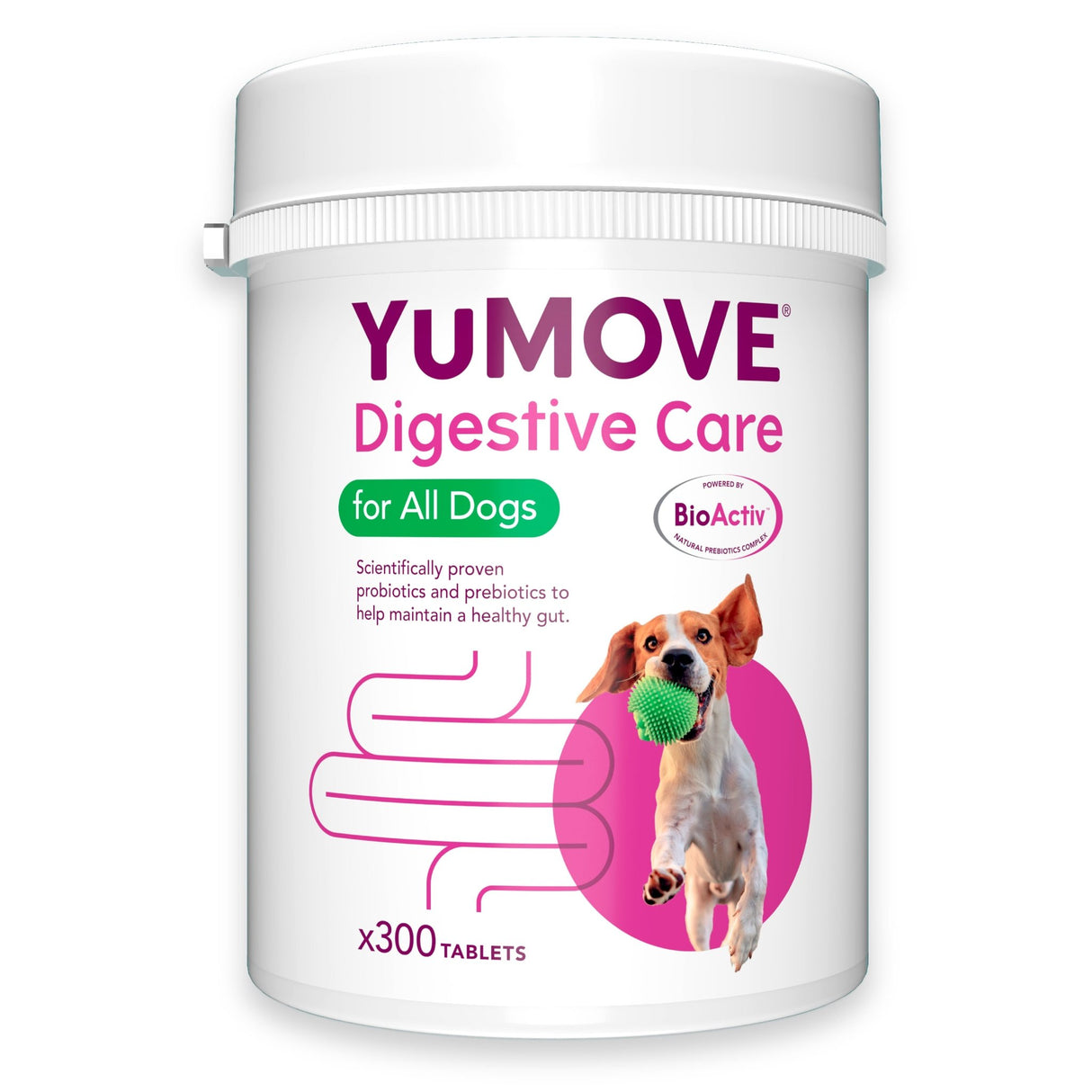 YuMOVE Digestive Care Pre & Probiotic for Dogs Bulk Buy 300 Tablets, YuMOVE,