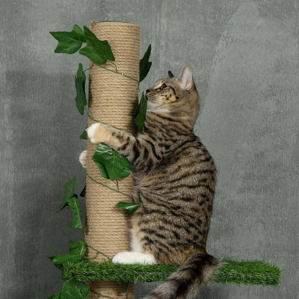 242cm Adjustable Floor-To-Ceiling Cat Tree, with Artificial Decoration, Perches, Anti-Slip Kit, PawHut, Green