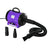 2800W Dog Pet Grooming Hairdryer Heater w/ Three Nozzles, PawHut, Purple