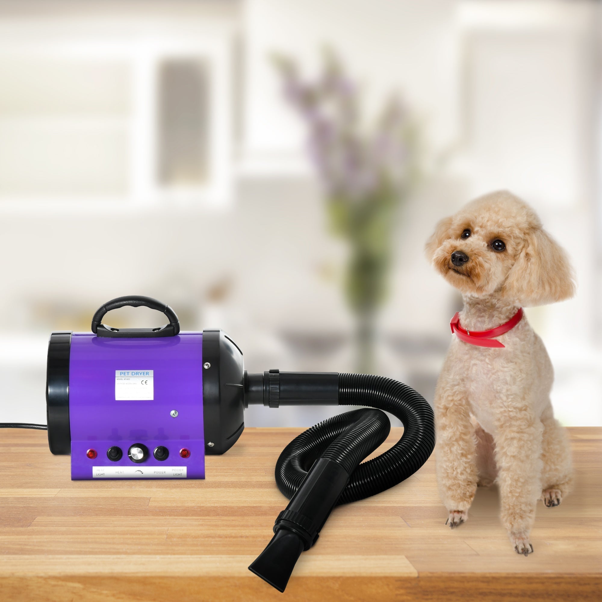 2800W Dog Pet Grooming Hairdryer Heater w/ Three Nozzles, PawHut, Purple