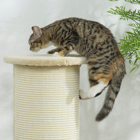 85cm Tall Cat Scratching Post, with Sisal Rope, Soft Plush, Anti Tip - Beige, PawHut,