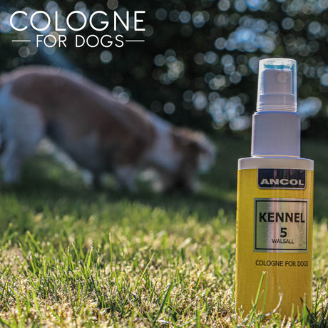 Ancol Dog Cologne Kennel 5 Spray 100 ml, Ancol,