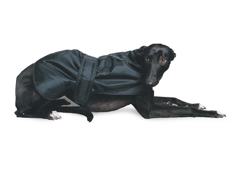 Ancol Greyhound Coat Black 70 cm, Ancol,