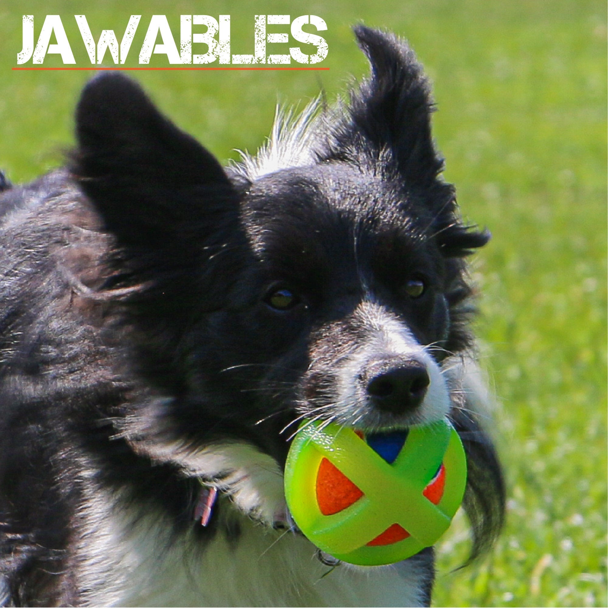 Ancol | Jawables | Framed Tennis Ball x3, Ancol,