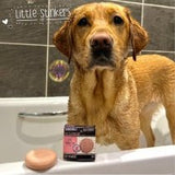Ancol Little Stinkers Shampoo Bar for Dogs (6x50g), Ancol, Vanilla
