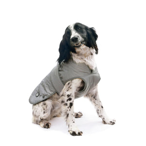 Dog Apparel Clothes