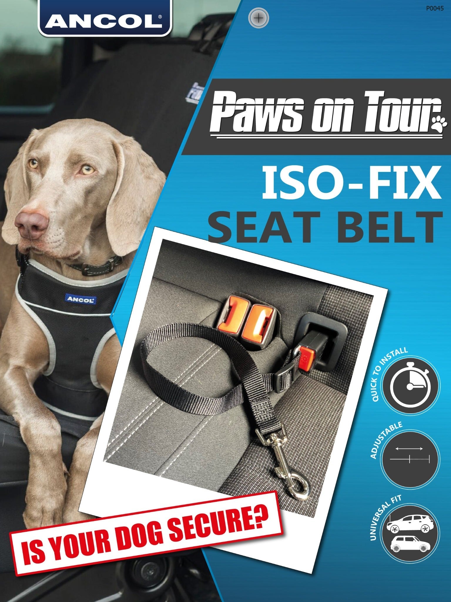Ancol Paws on Tour ISOFix Car Seat Belt, Ancol,