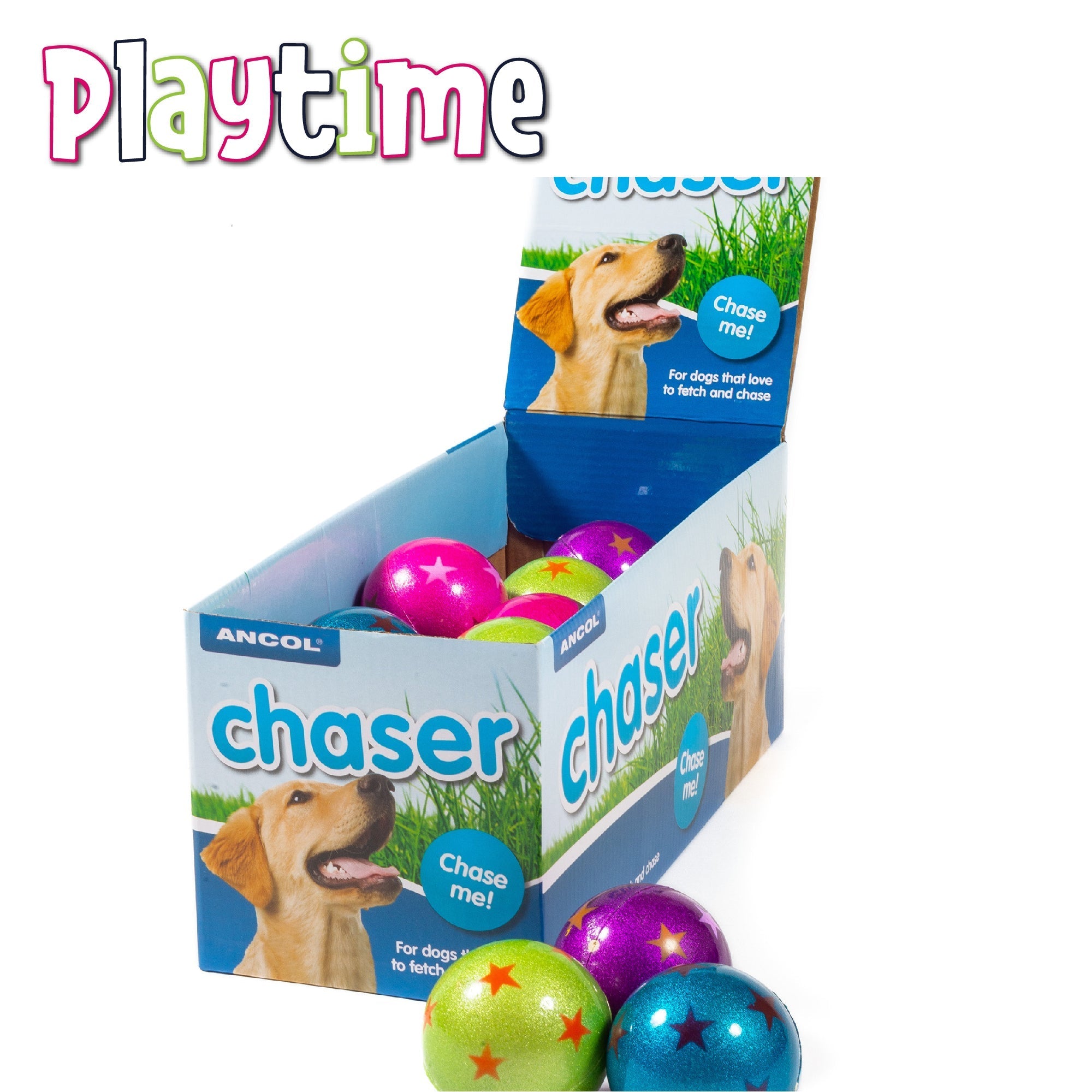Ancol | Playtime | Chaser Sponge Floating Balls Box of 20, Ancol,