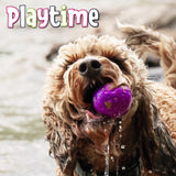 Ancol | Playtime | Chaser Sponge Floating Balls Box of 20, Ancol,