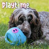 Ancol Playtime Squeaky Treat Ball | Two Sizes, Ancol, Medium