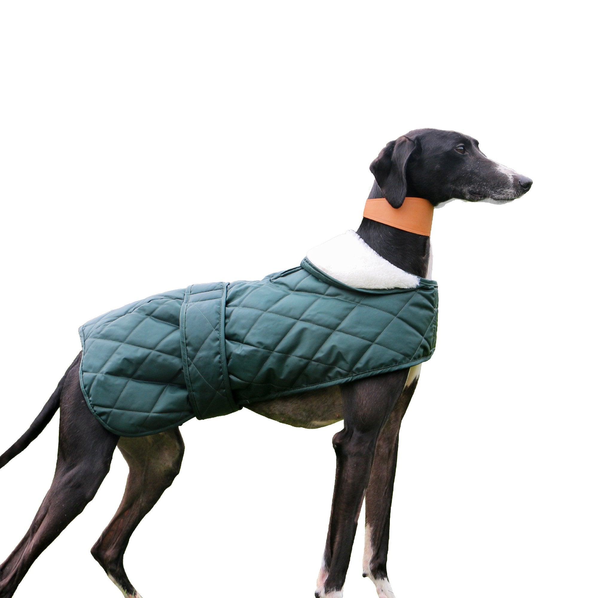 Ancol Quilted Green Hound Coat, Ancol, Medium