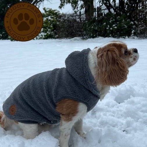 Ancol Teddy Sherpa with Fleece Grey Dog Coat, Ancol, XS 25cm