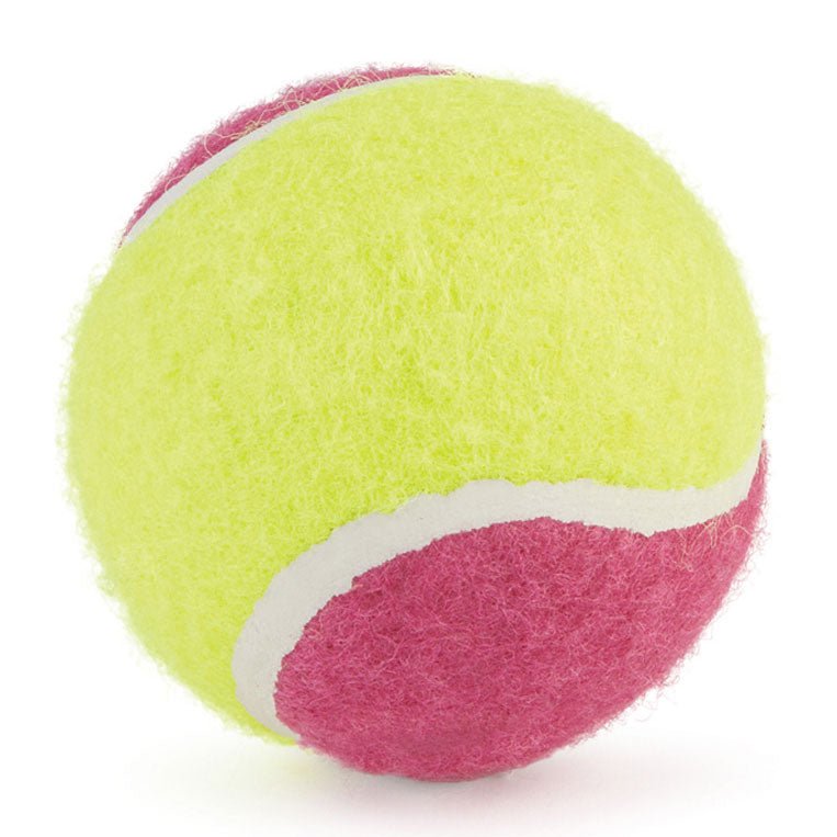 Ancol Tennis Balls Box of 20 Dog Toy, Ancol,