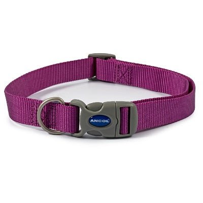 Ancol Viva Adjustable Quick Fit Dog Collar, Ancol, 45-70 cm