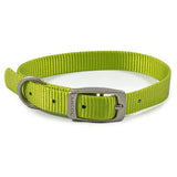 Ancol Viva Buckle Collar, Ancol, 20-26cm