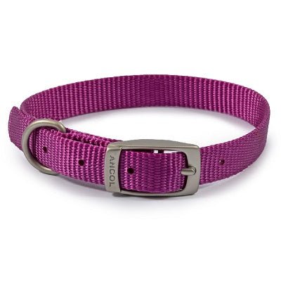 Ancol Viva Buckle Collar, Ancol, 20-26cm