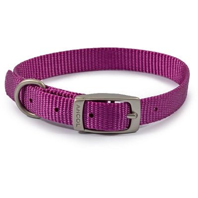 Ancol Viva Buckle Collar, Ancol, 26-31cm