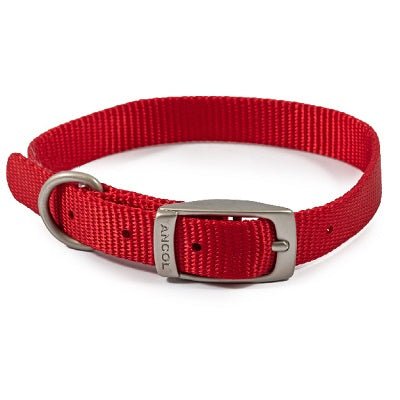 Ancol Viva Buckle Collar, Ancol, 26-31cm