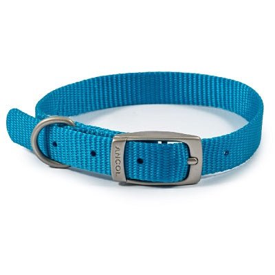 Ancol Viva Buckle Collar, Ancol, 26-31cm