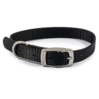 Ancol Viva Buckle Collar, Ancol, 26-31cm