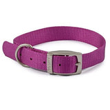 Ancol Viva Buckle Collar, Ancol, 28-36cm