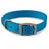 Ancol Viva Buckle Collar, Ancol, 28-36cm